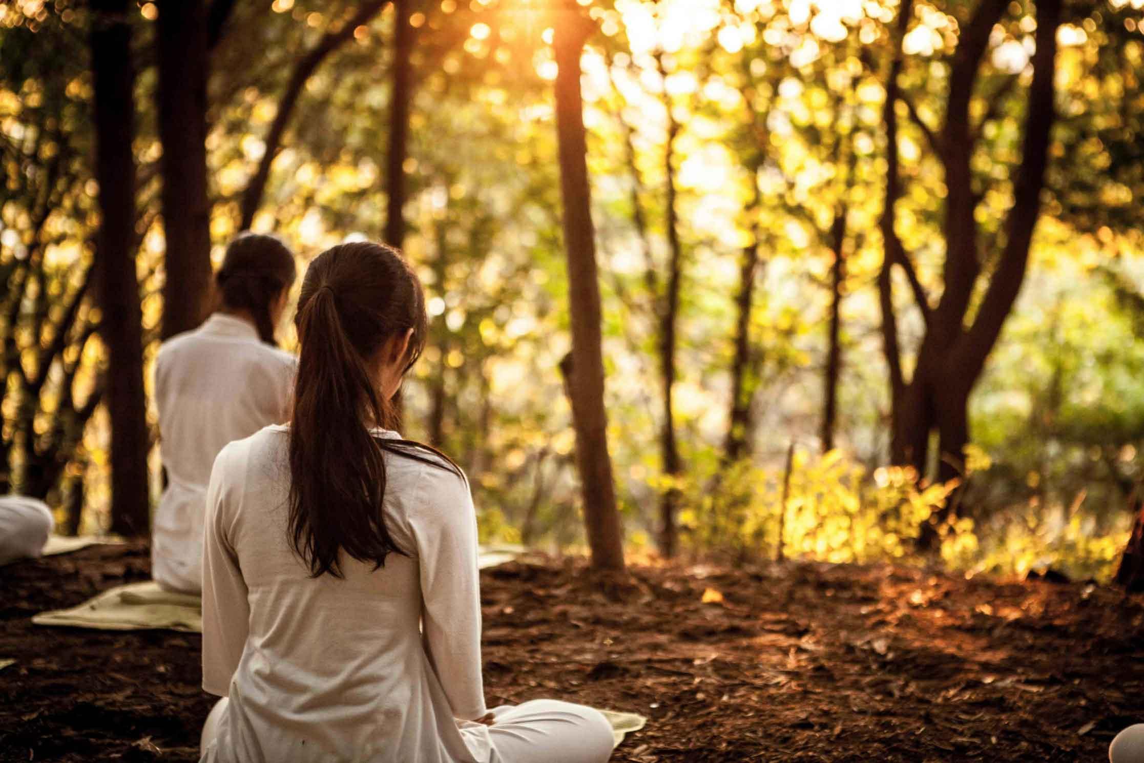 Nature Immersion